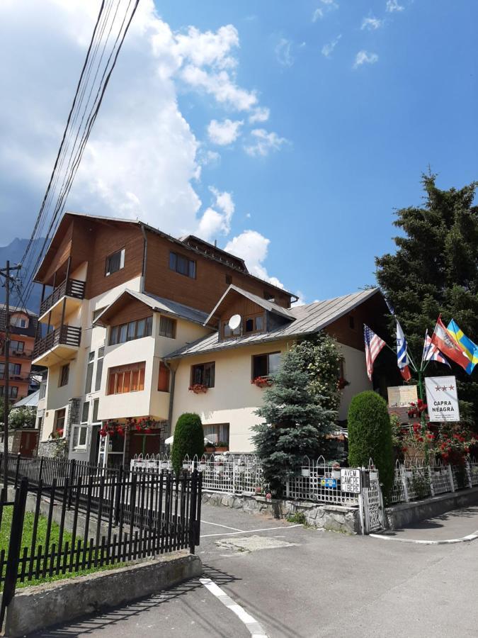 Pensiunea Capra Neagra Buşteni Exterior foto