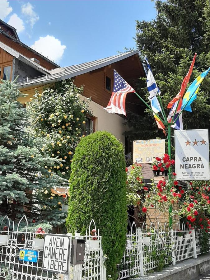 Pensiunea Capra Neagra Buşteni Exterior foto