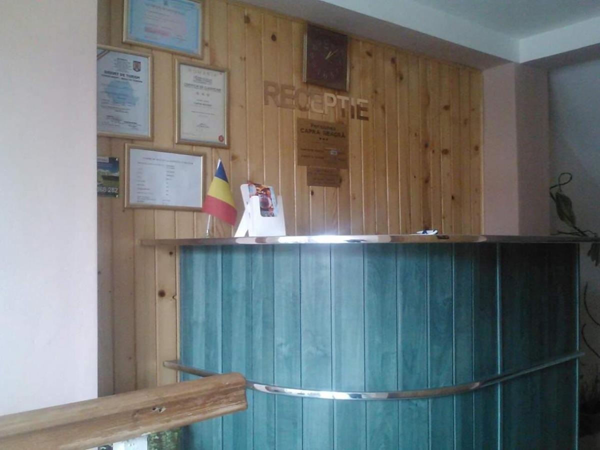 Pensiunea Capra Neagra Buşteni Exterior foto